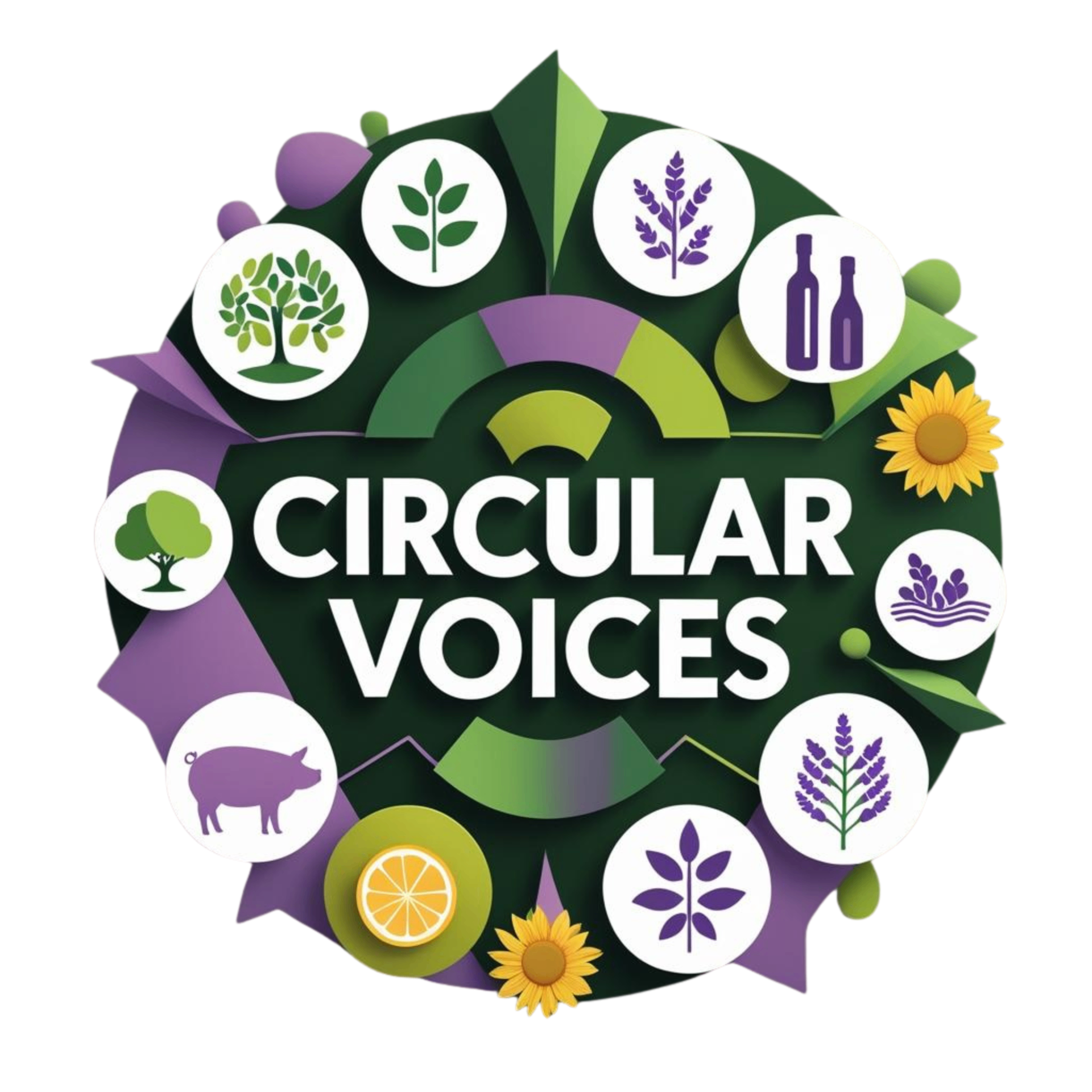 Circular Voices logo