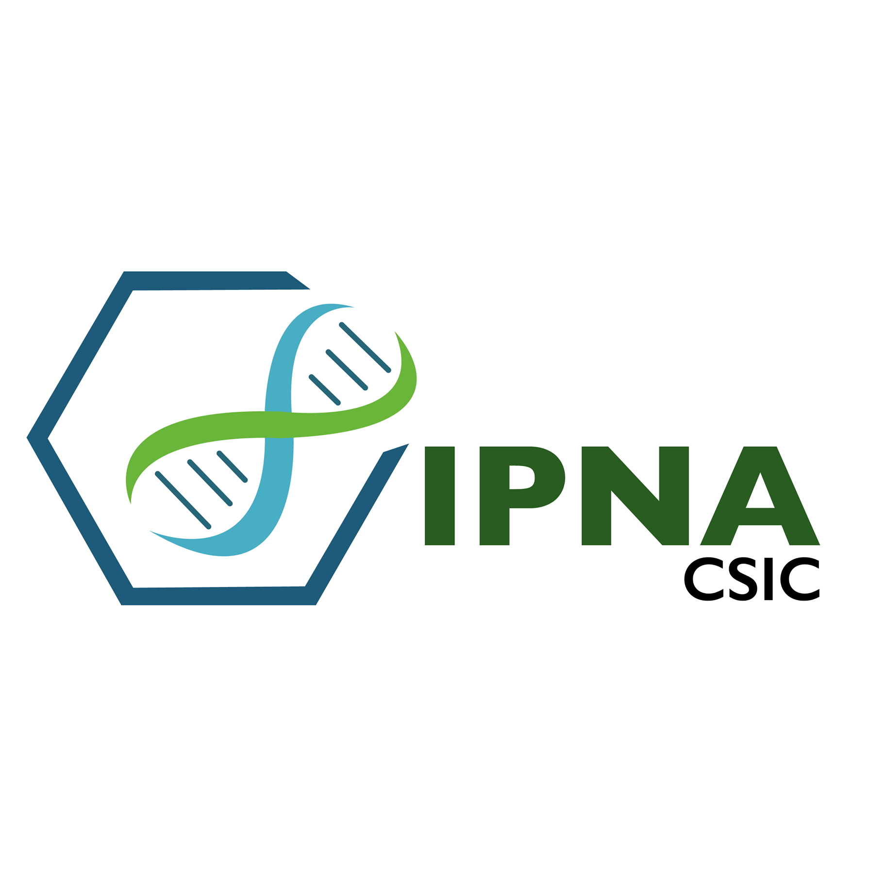 IPNA лого